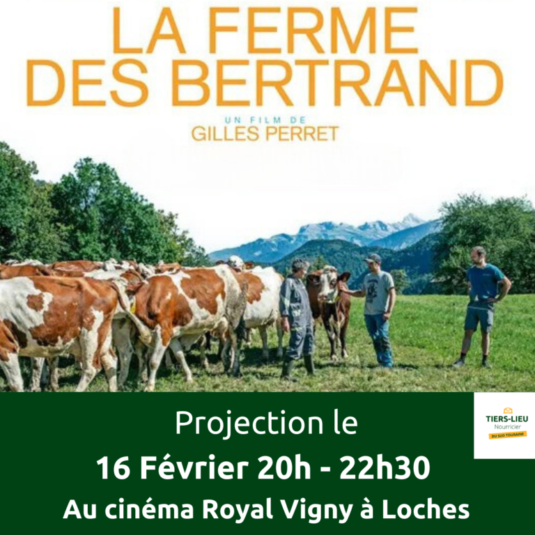 Affiche pour la projection et échange du film La ferme des Bertrand