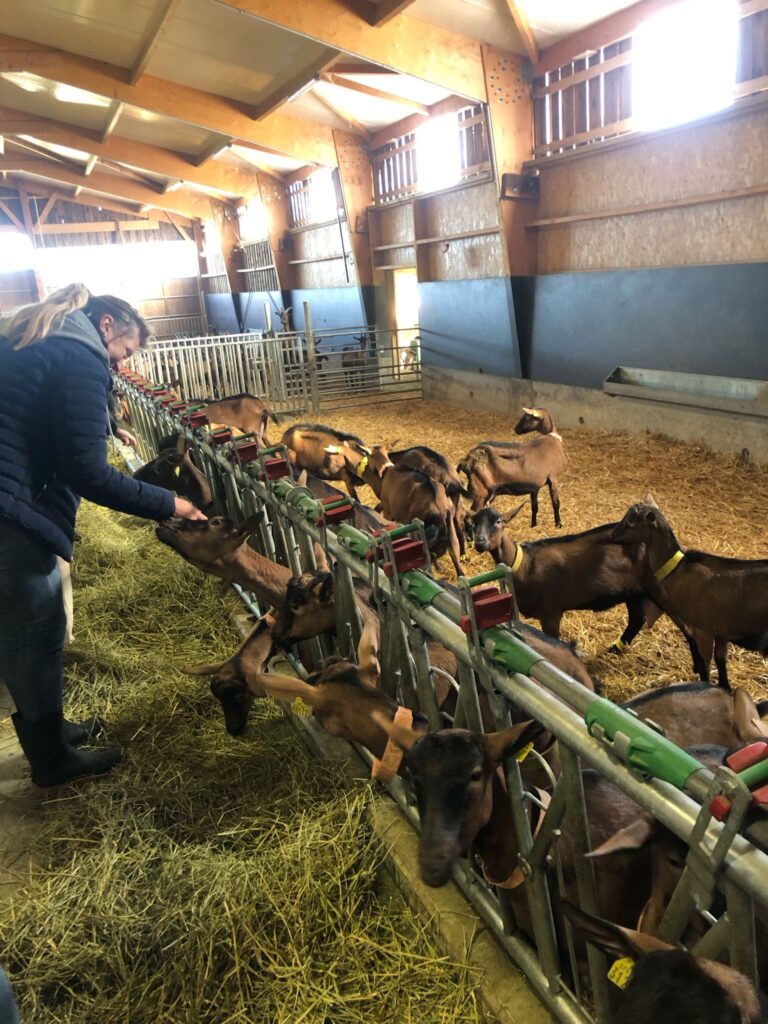 Photo de membres de la formation à Le Petit Bois d'Ô